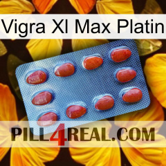 Vigra Xl Max Platinum 06